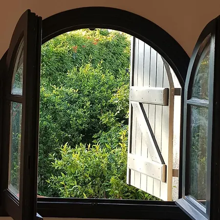 T1bis Terrase Et Jardinet Bord De Appartamento